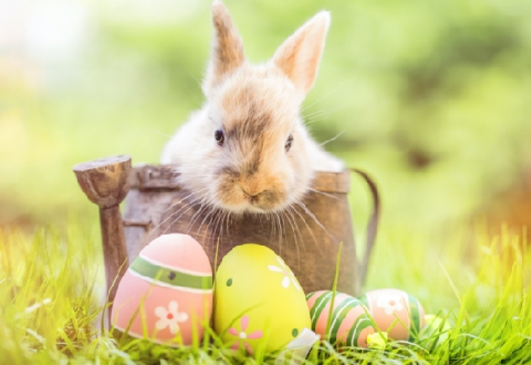 EXPLORE ISTANBUL FREELY THIS EASTER BY RENTING A CAR WITH BETA CAR RENTAL
