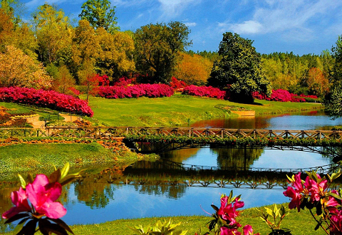 HOLIDAY RENT A CAR SULTANAHMET SPRING CAR RENTAL TAKSIM ECONOMY CAR RENTAL TAKSIM RENT A CAR